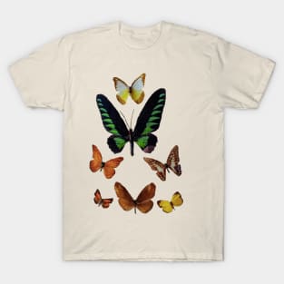 Butterfly Collection T-Shirt